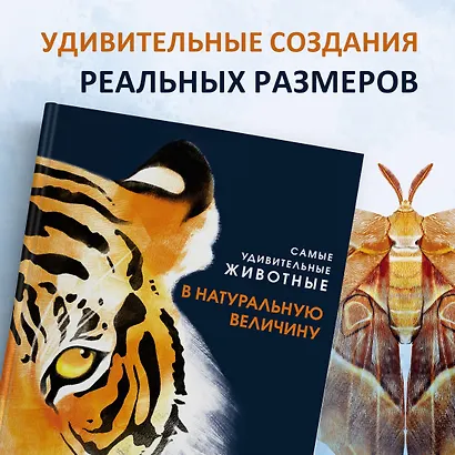 Самые удивительные животные в натуральную величину - фото 3
