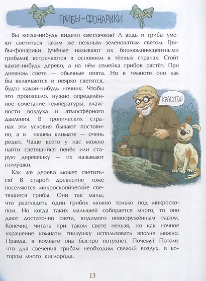 Грибное царство - фото 5