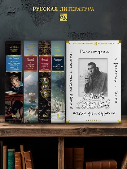 Школа для дураков. Между собакой и волком. Палисандрия. Триптих. Эссе - фото 6