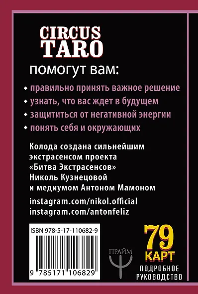 СircusTaro. Ключ к пониманию будущего - фото 2