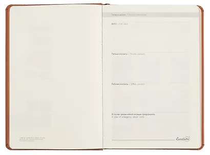 Ежедневник недат. А5 160л "Софт-тач" коричневый, кожзам, тв.переплет, декор УФ лак, офсет, ляссе - фото 3