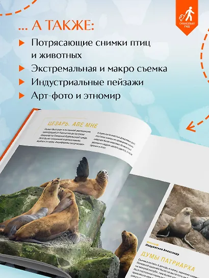 Незабываемые моменты. Всероссийский фотоконкурс Бомбора 2025 - фото 6