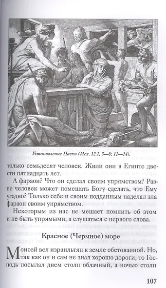 Библия для детей. Подарок на Рождество - фото 3