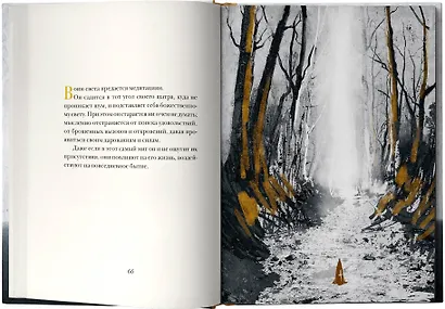 Книга воина света - фото 7
