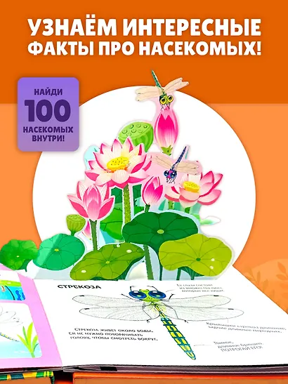 Насекомые. Тактильная книга-панорамка - фото 7