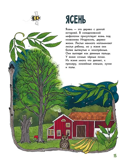 Деревья - фото 7