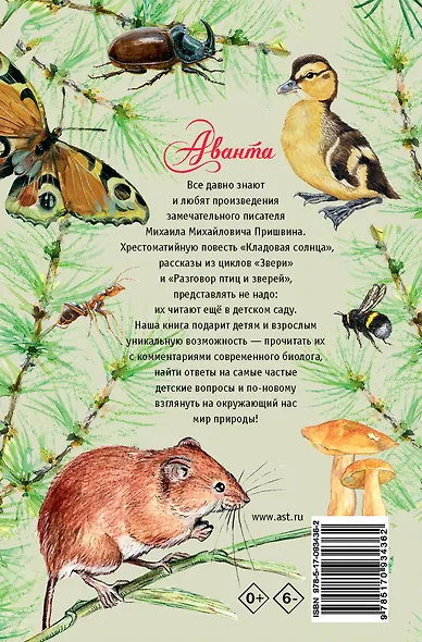 Кладовая солнца - фото 2