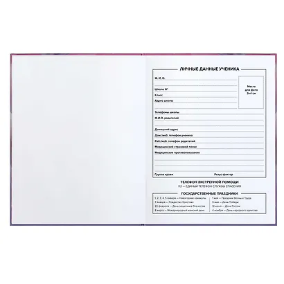 Дневник школьный Феникс+, "Девушка с пандой" - фото 3