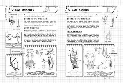 Биология. 5-11 классы. Справочник в наглядных конспектах - фото 10