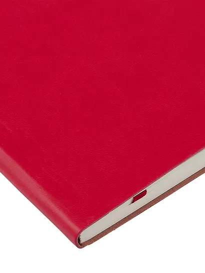 Книга для записей А5, 100 листов в клетку, красная, Schiller - фото 10