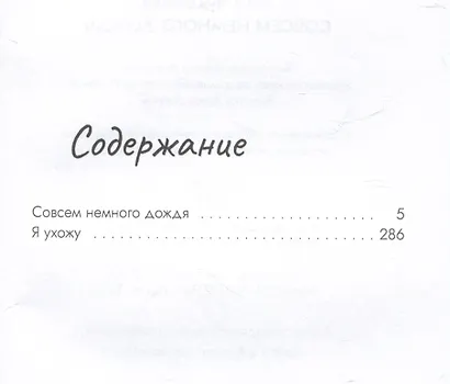 Совсем немного дождя - фото 3