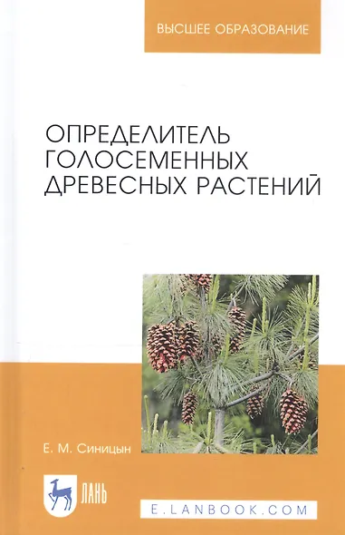 Определитель голосеменных древесных растений. Учебное пособие - фото 6
