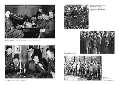 Мобилизованная нация. Германия 1939–1945 - фото 12