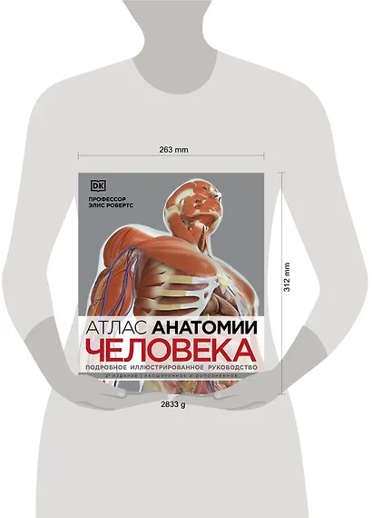 Атлас анатомии человека (DK). Подробное иллюстрированное руководство - фото 7