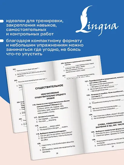 Английский язык. 5–11 классы. 500 самых важных упражнений по грамматике - фото 7