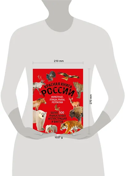 Красная книга России. Большой формат. Более 500 уникальных иллюстраций и фактов (новое издание) (основной) - фото 4