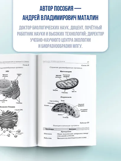 ОГЭ. Биология. Полный курс в таблицах и схемах для подготовки к ОГЭ - фото 5