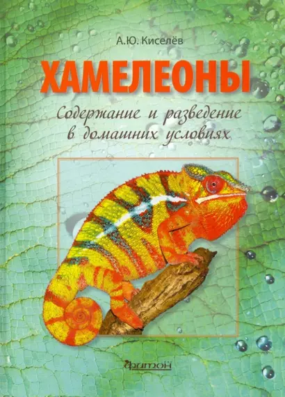 Хамелеоны: Содержание и разведение в домашних условиях - фото 1