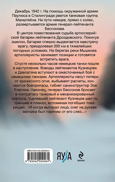 Горячий снег - фото 2
