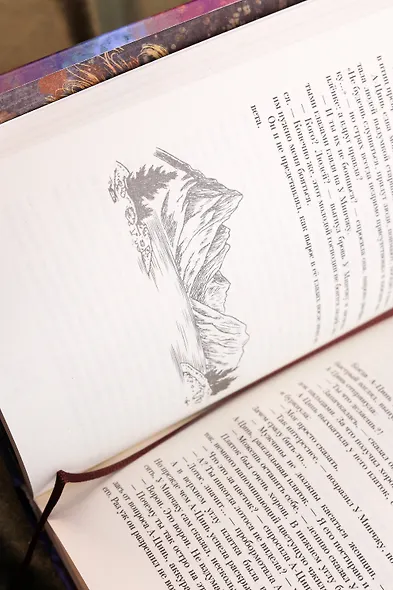 Крылья золотой птицы. Гоцюй - фото 15