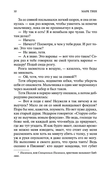 Приключения Тома Сойера и Гекльберри Финна - фото 12