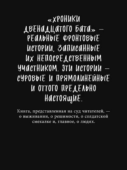 Хроники Двенадцатого бата - фото 4