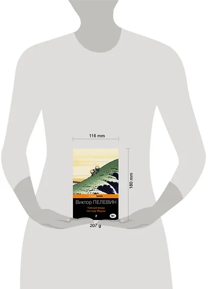 Тайные виды на гору Фудзи - фото 9