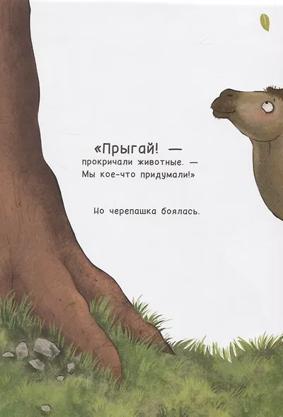 Самая быстрая черепашка - фото 5