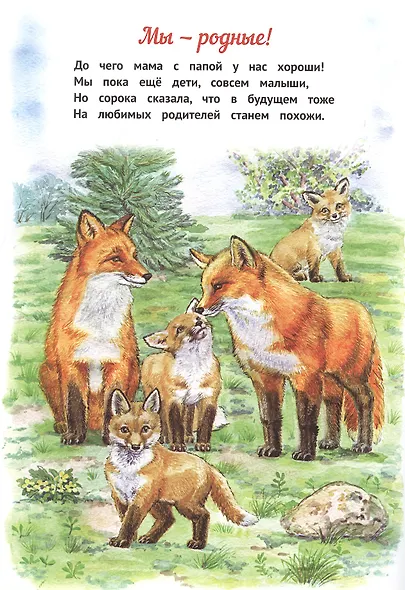 Мы - родные! - фото 2