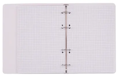 Тетрадь на кольцах в клетку "Манул Манулыч", 100 листов - фото 3