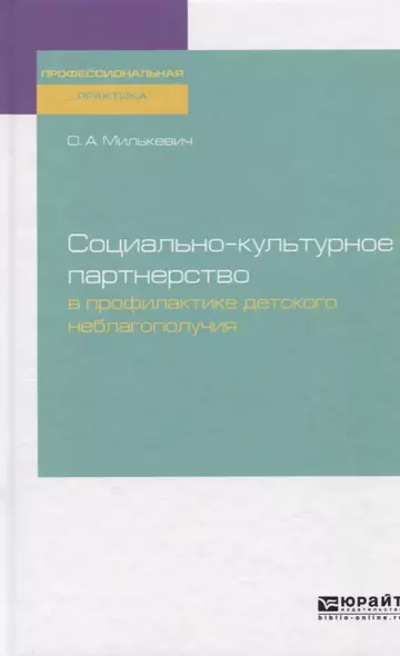 Социально-культурное партнерство в профилактике детского неблагополучия. Практическое пособие - фото 1