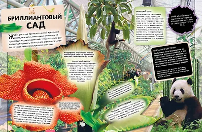 Животные. Книга юного эрудита - фото 10