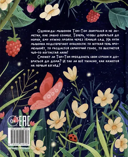 Топ-Топ и таинственный сад - фото 2