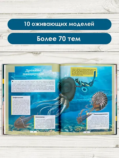 Подводный мир - фото 4