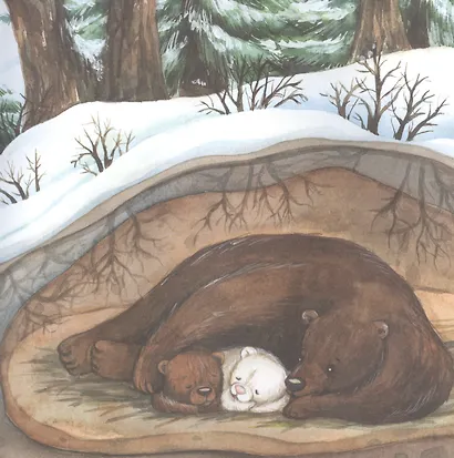 Другая Альба: сказка об уникальной внешности медвежонка - фото 3