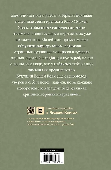 Перекрёсток воронов - фото 2