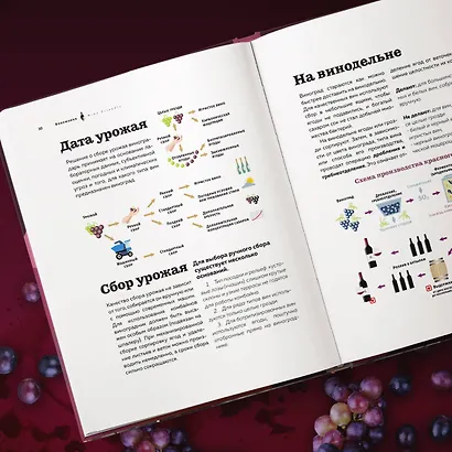 Виномания. Наглядный путеводитель по винному миру - фото 11