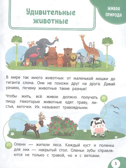 Моя первая книга открытий: для детей от 4-х лет - фото 4