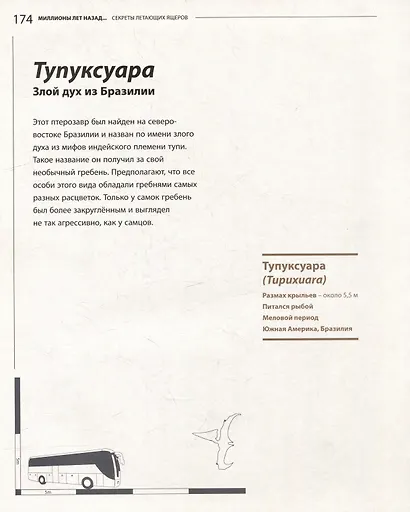 Секреты летающих ящеров - фото 4