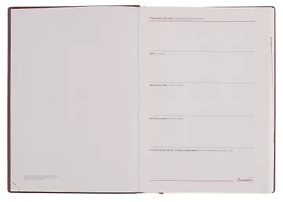 Ежедневник дат. 2026г. А5+ 176л "Шеврет" зеленый, кожзам, интегр. переплет, тисн. фольгой, внутренний блок в клетку, карман, офсет, закругл.углы, справ.мат-лы, 2 ляссе, инд.уп - фото 3