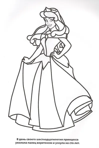 Принцессы. Прозрачные страницы. - фото 2