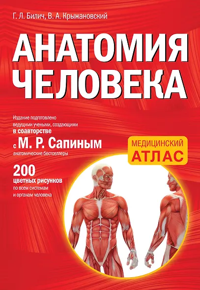 Анатомия человека - фото 1