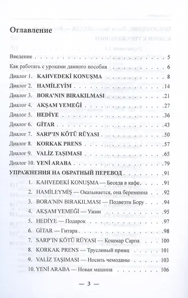 Учим язык по любимым сериалам. Трусливый принц / Korkak Prens: учебное пособие по турецкой разговорной речи (средний уровень сложности) - фото 2