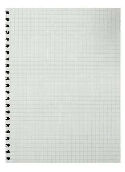 Тетрадь в клетку Stila, Citrus, 100 листов - фото 2