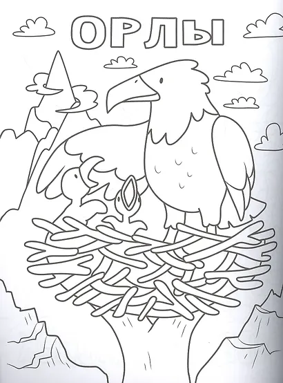 100 любимых животных. Раскраска - фото 4