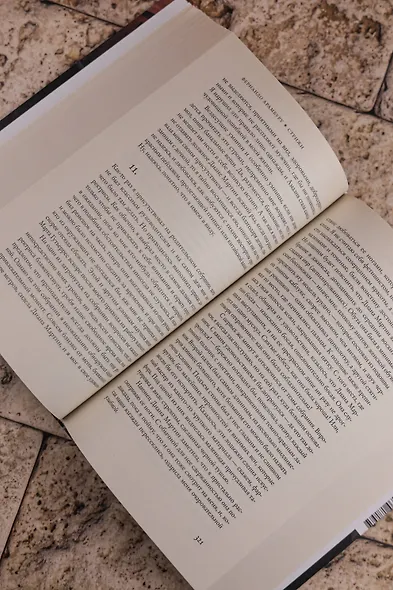 Стрижи - фото 10