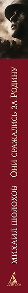 Они сражались за Родину. Судьба человека - фото 13