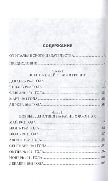 Записки о войне начальника итальянского Генштаба - фото 2