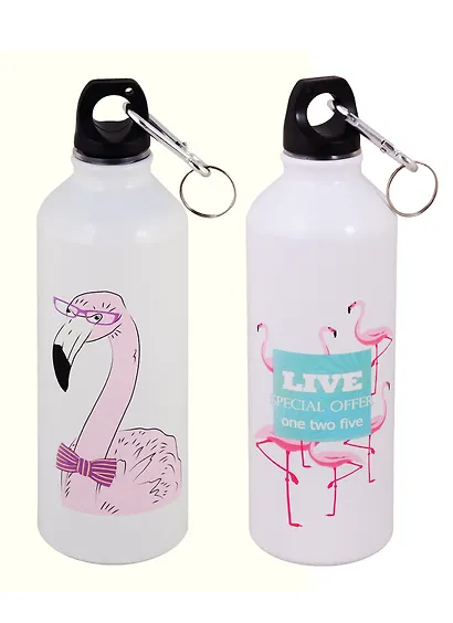 Бутылка с карабином Фламинго, металл, 500мл, в ассортименте 12-16163-500-2 - фото 3