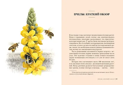 Наедине с природой. Комплект из 3-х книг с шоппером - фото 6
